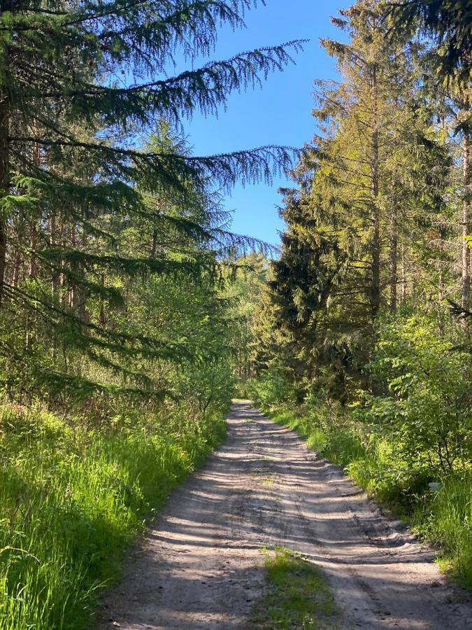 Siedlisko Wytowno Villa Ustka Luaran gambar