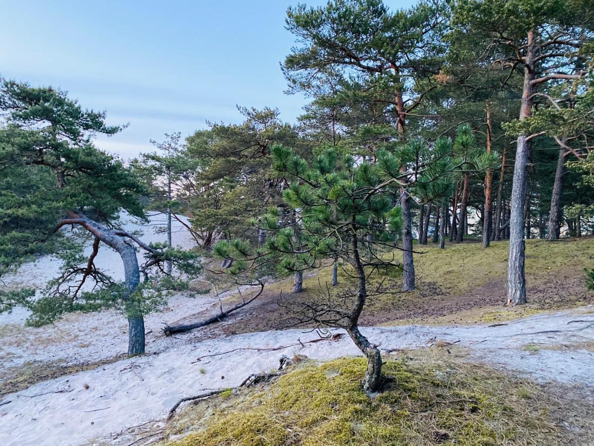 Siedlisko Wytowno Villa Ustka Luaran gambar